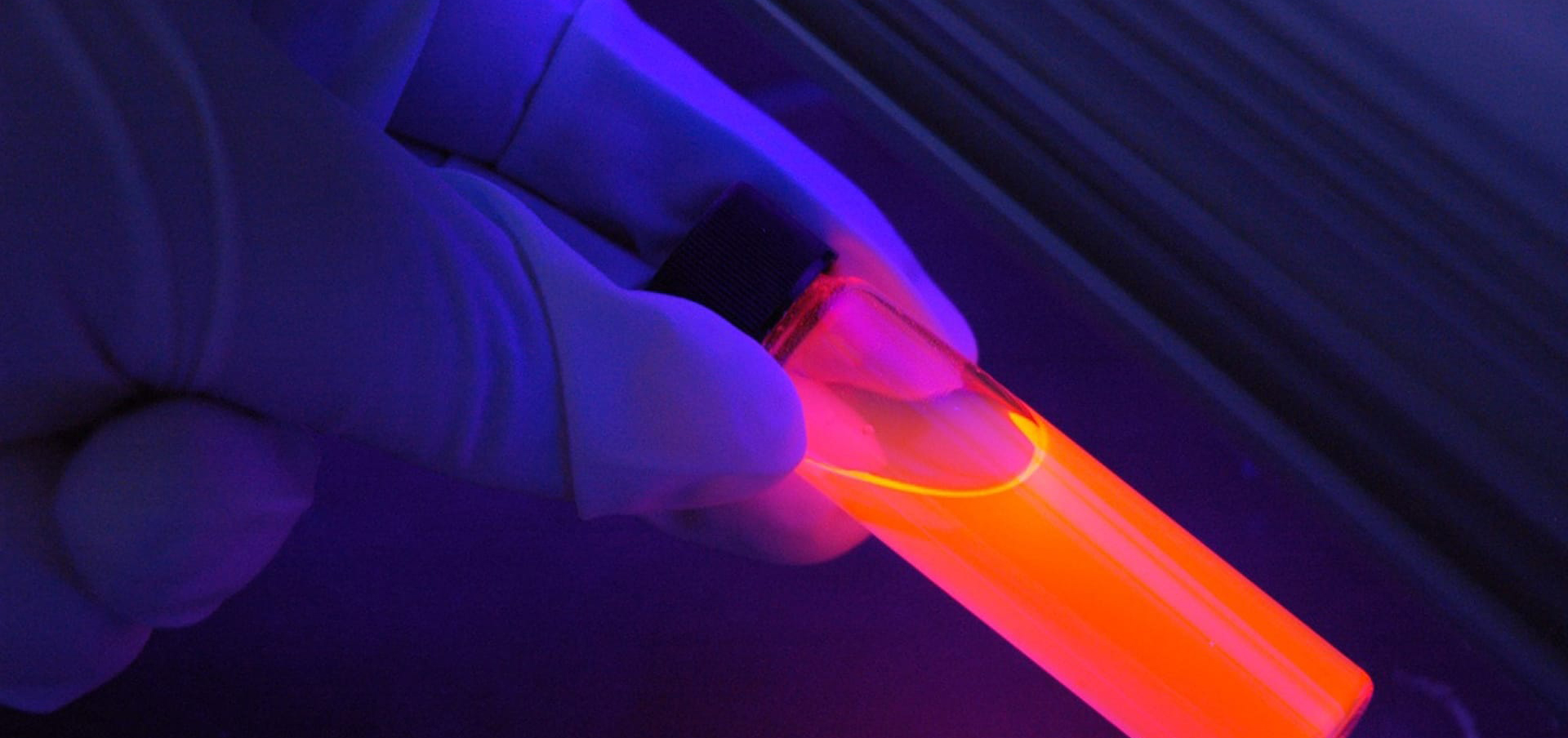 what can you do with a bachelor’s in nursing degree