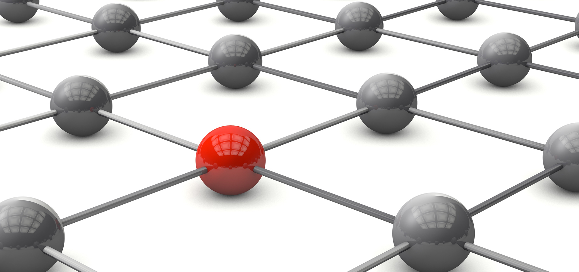 Business Administration vs. Management programs