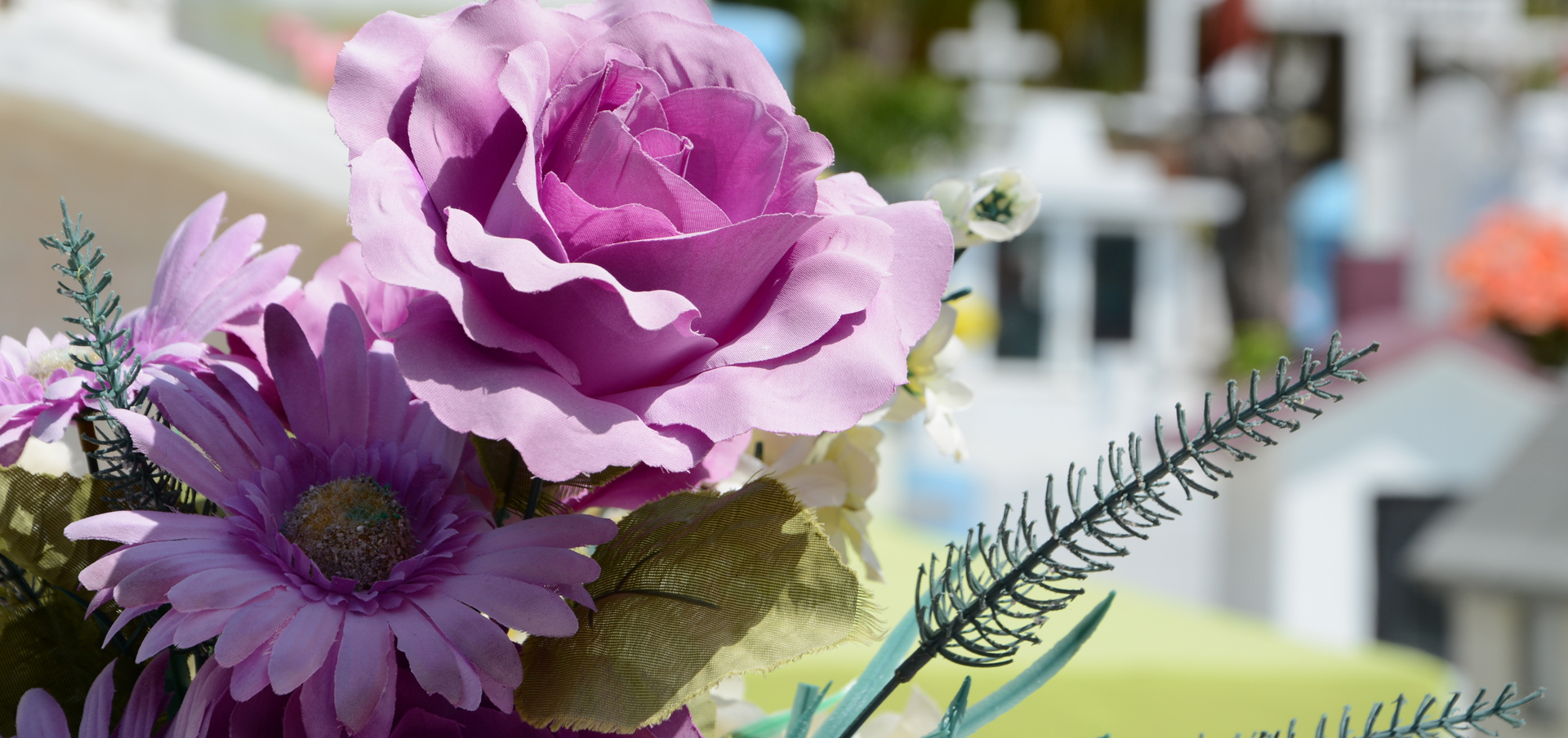 Connecticut mortician requirements