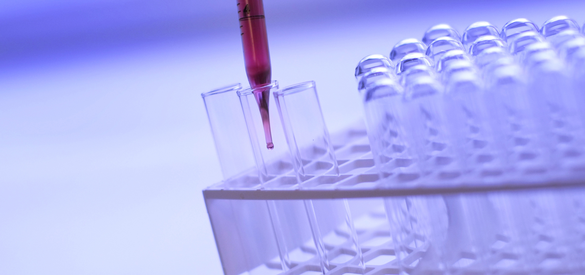 registered nurse requirements connecticut