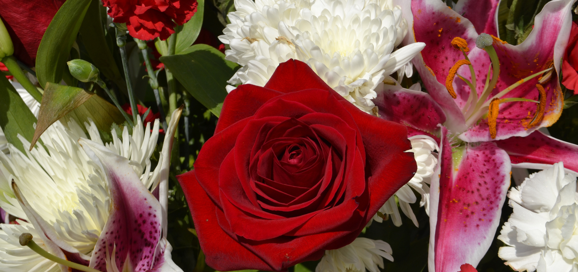 becoming a funeral director in connecticut