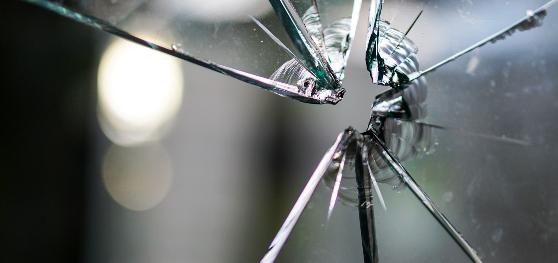 study criminal justice in connecticut