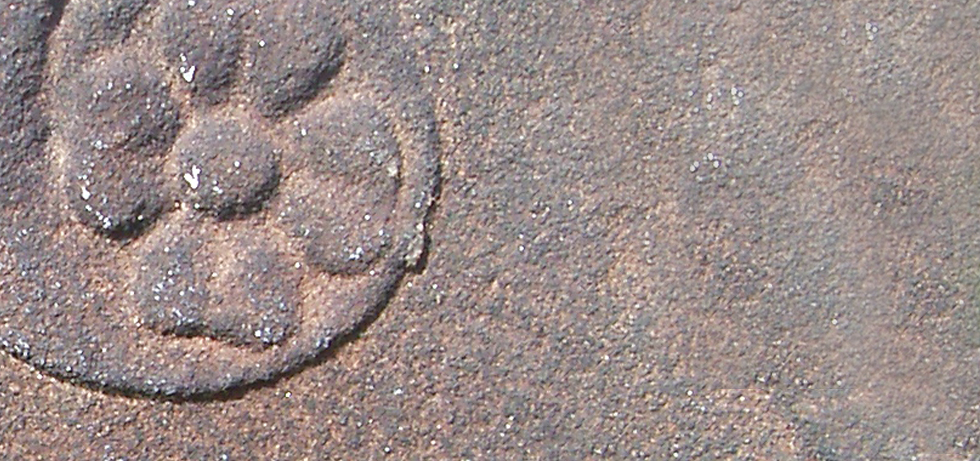 hartford ct mortician salary