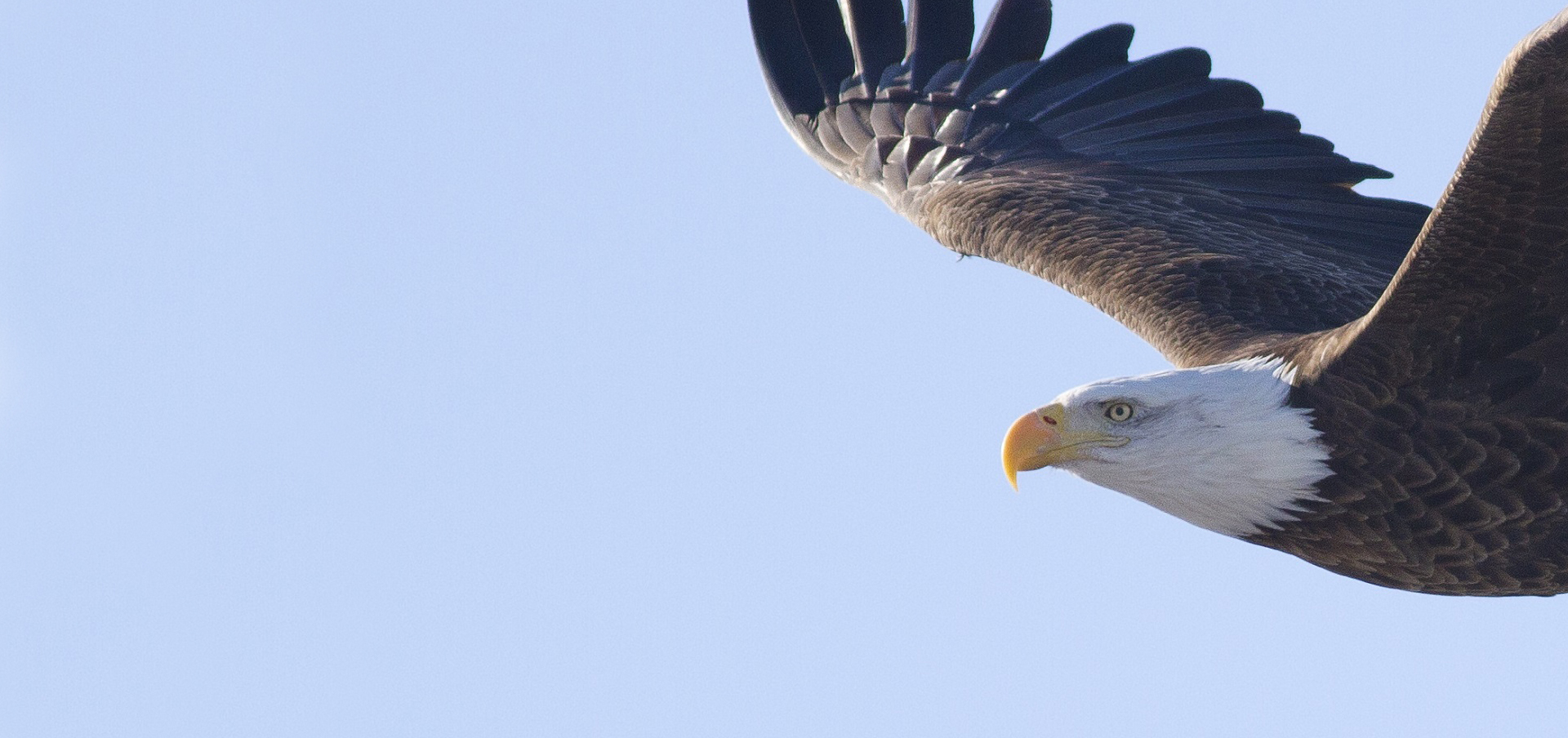 connecticut homeland security salary