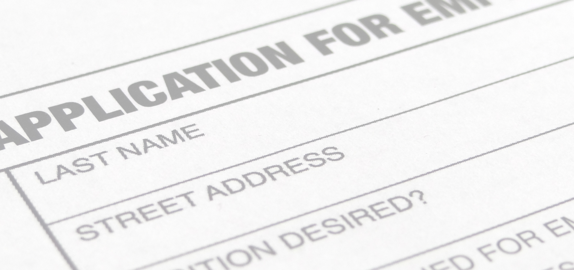 msn degree career options in connecticut