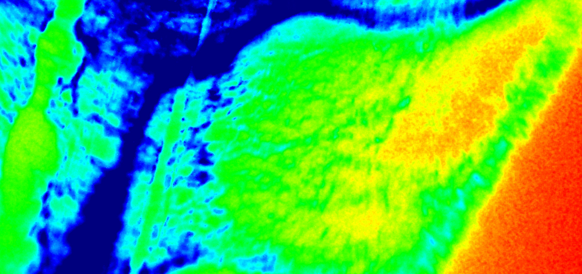 executive leadership program in connecticut