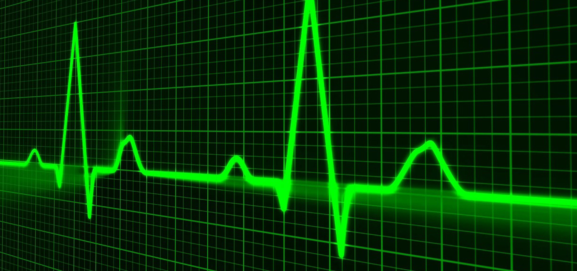 msn degree definition