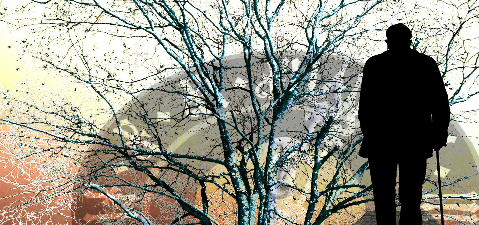 study human services in connecticut