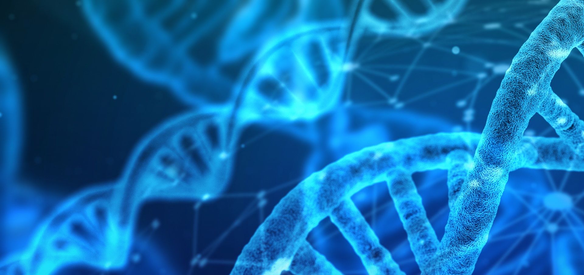 master of science in nursing information