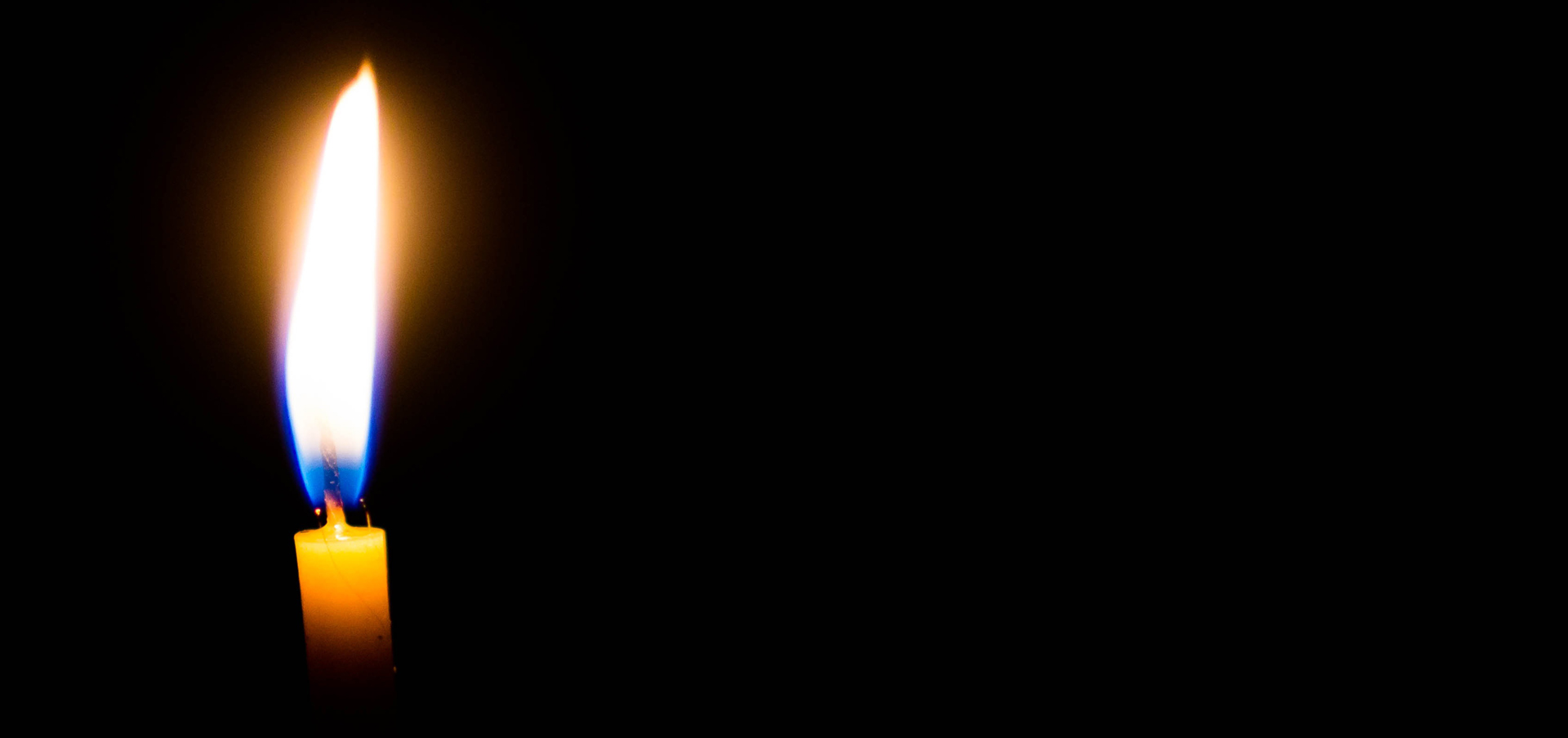 mortician degree connecticut