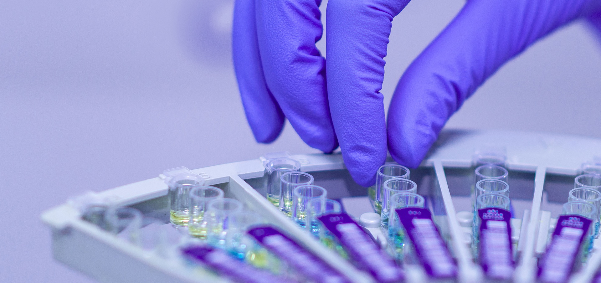 master’s in public health skills