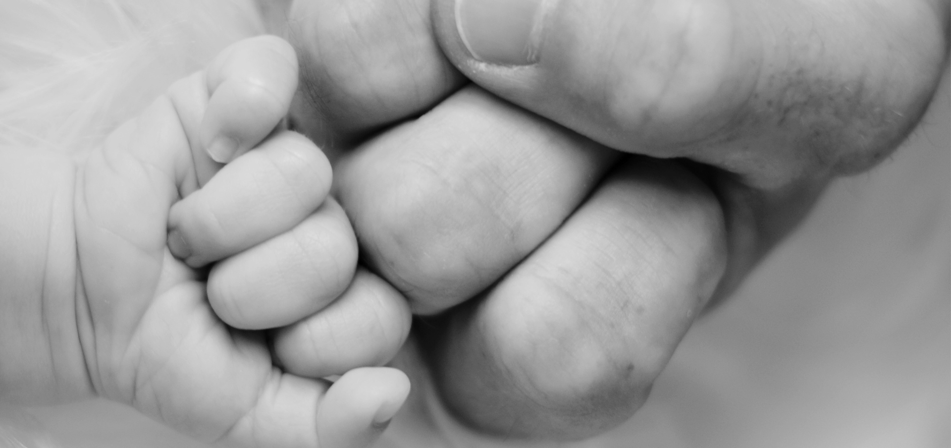 family nurse practitioner job description