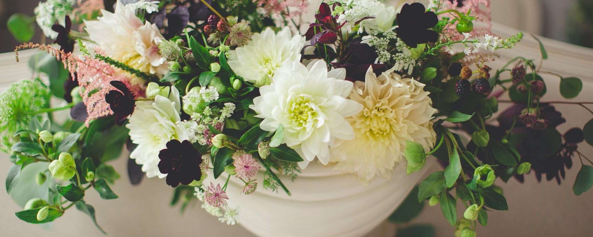 funeral 导演 career stories