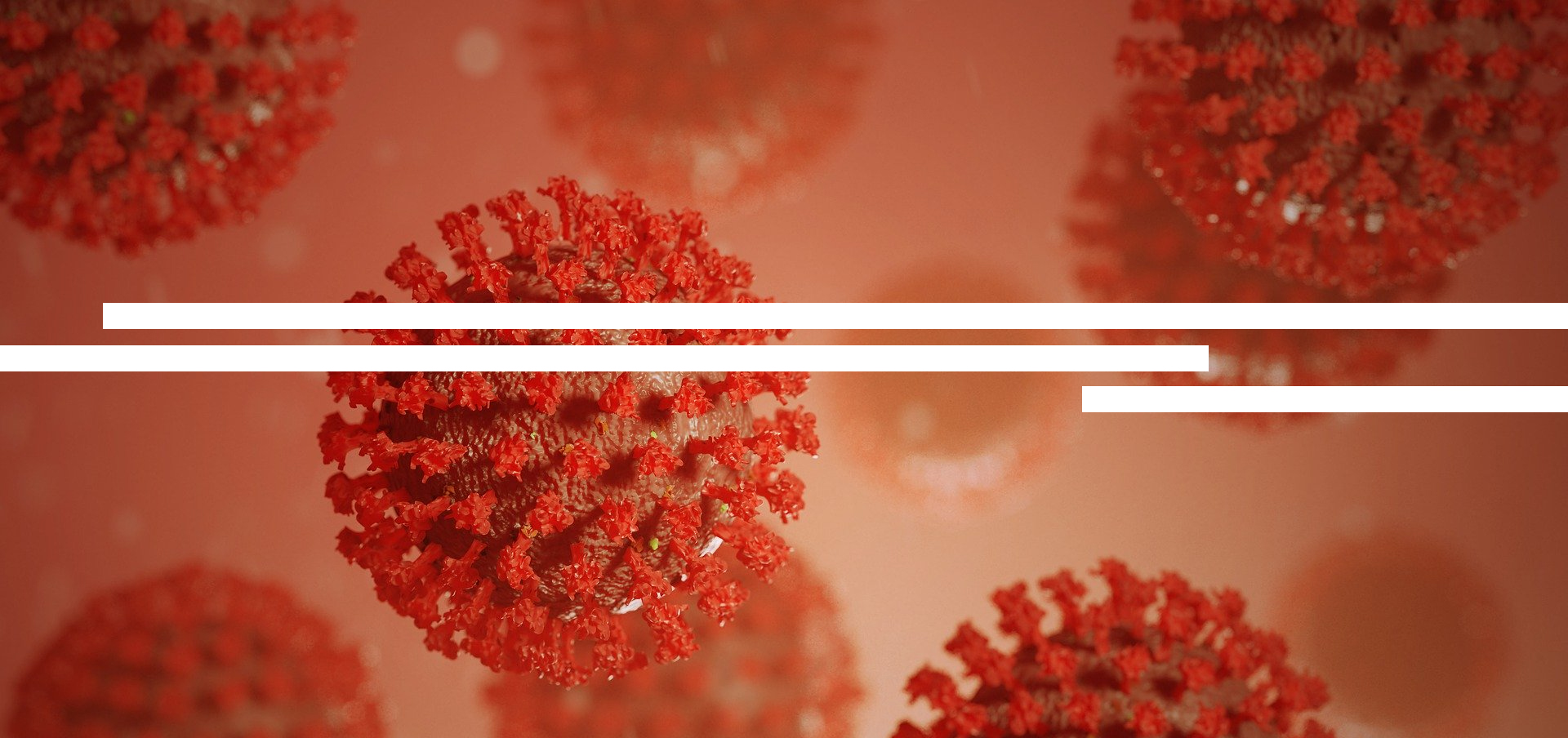 online degree programs