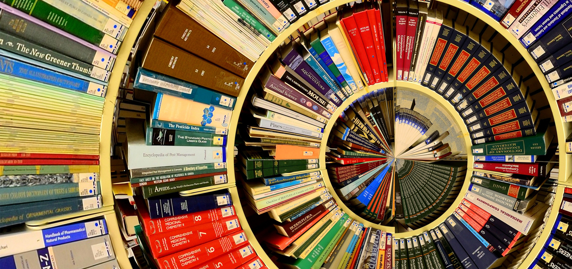 connecticut school readiness teacher requirements