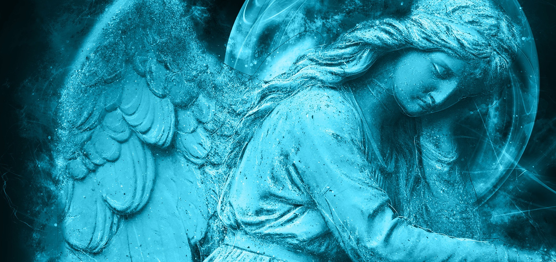 mortuary science degree requirements in connecticut