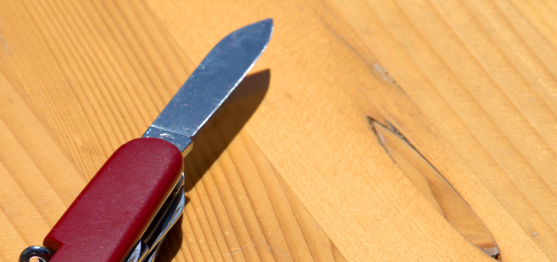 online organizational leadership education