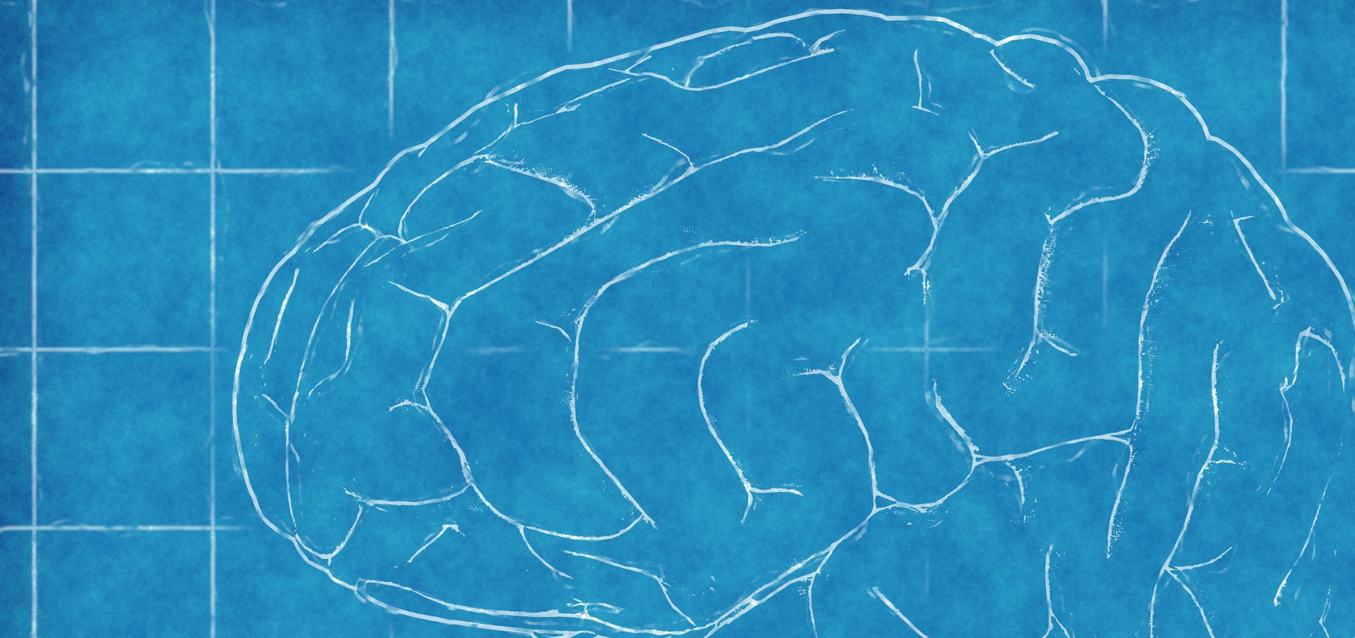 How Do You Become a Psychiatric Nurse Practitioner?