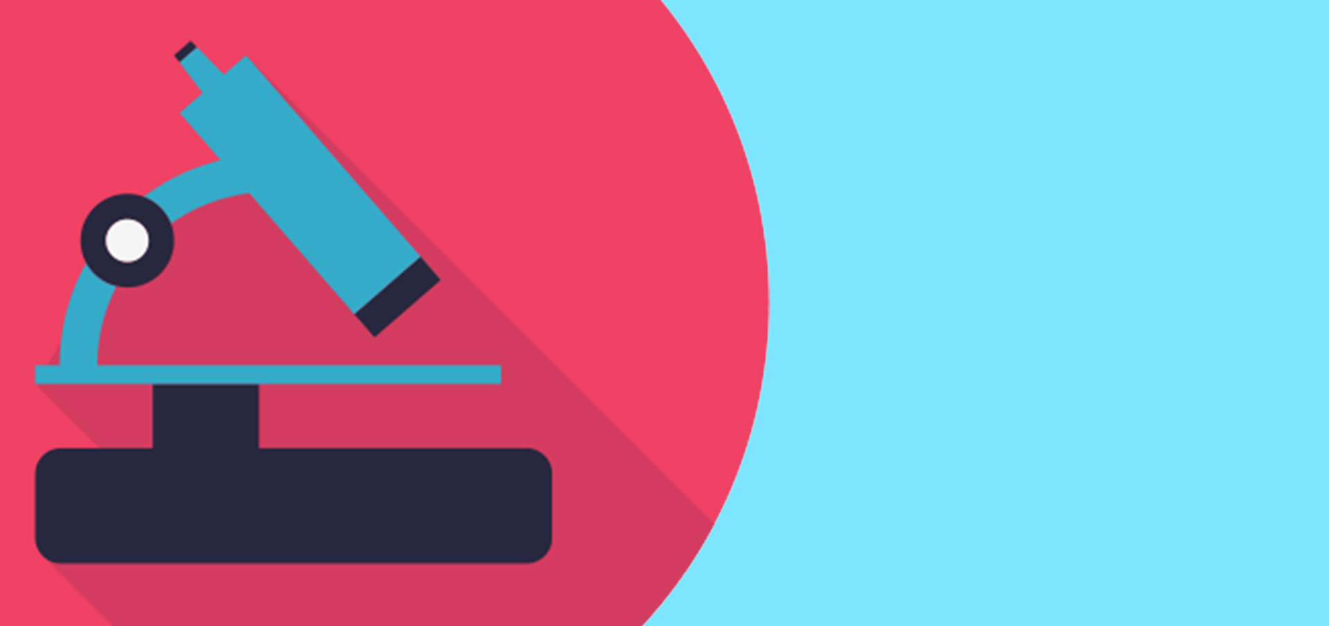 histotechnologist requirements