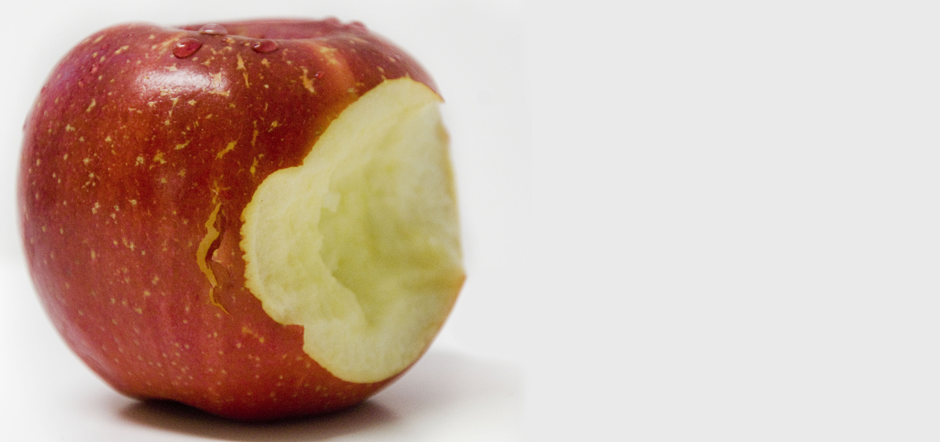 i want to go back to school where do i start