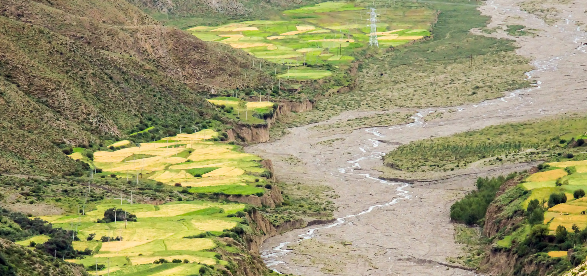 public health related majors