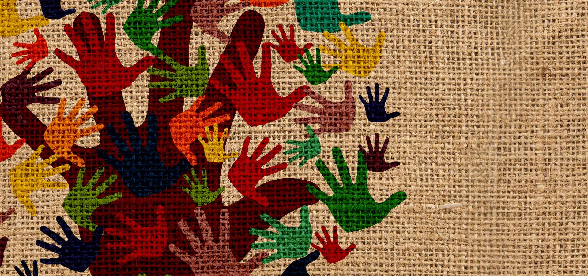 human services major description