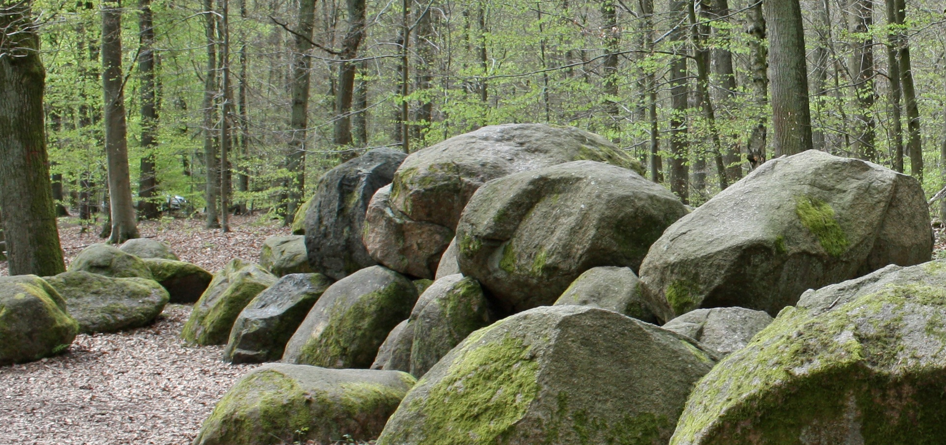 what is it like to be a mortician