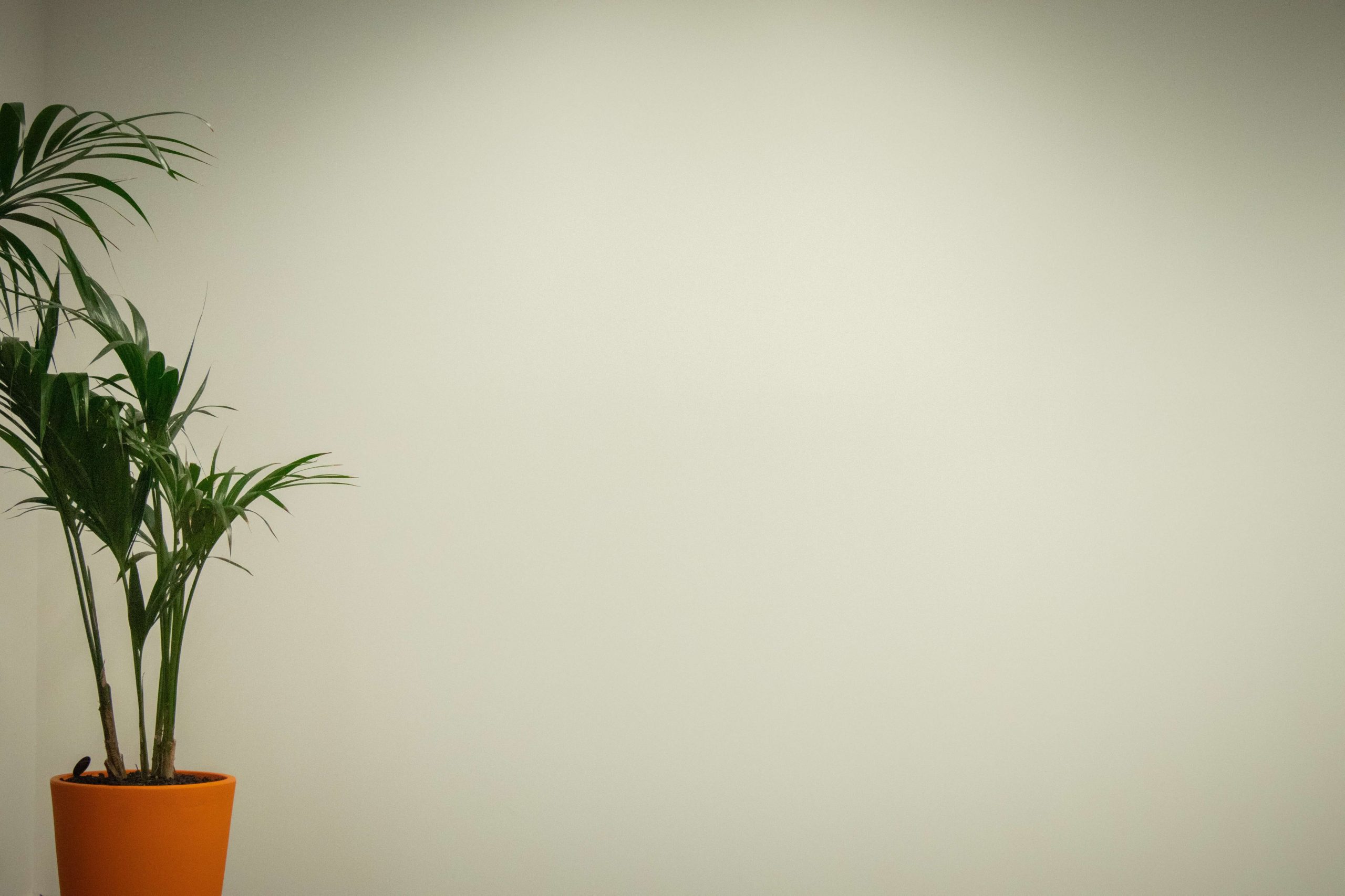 psychiatric nurse practitioner vs. psychiatrist