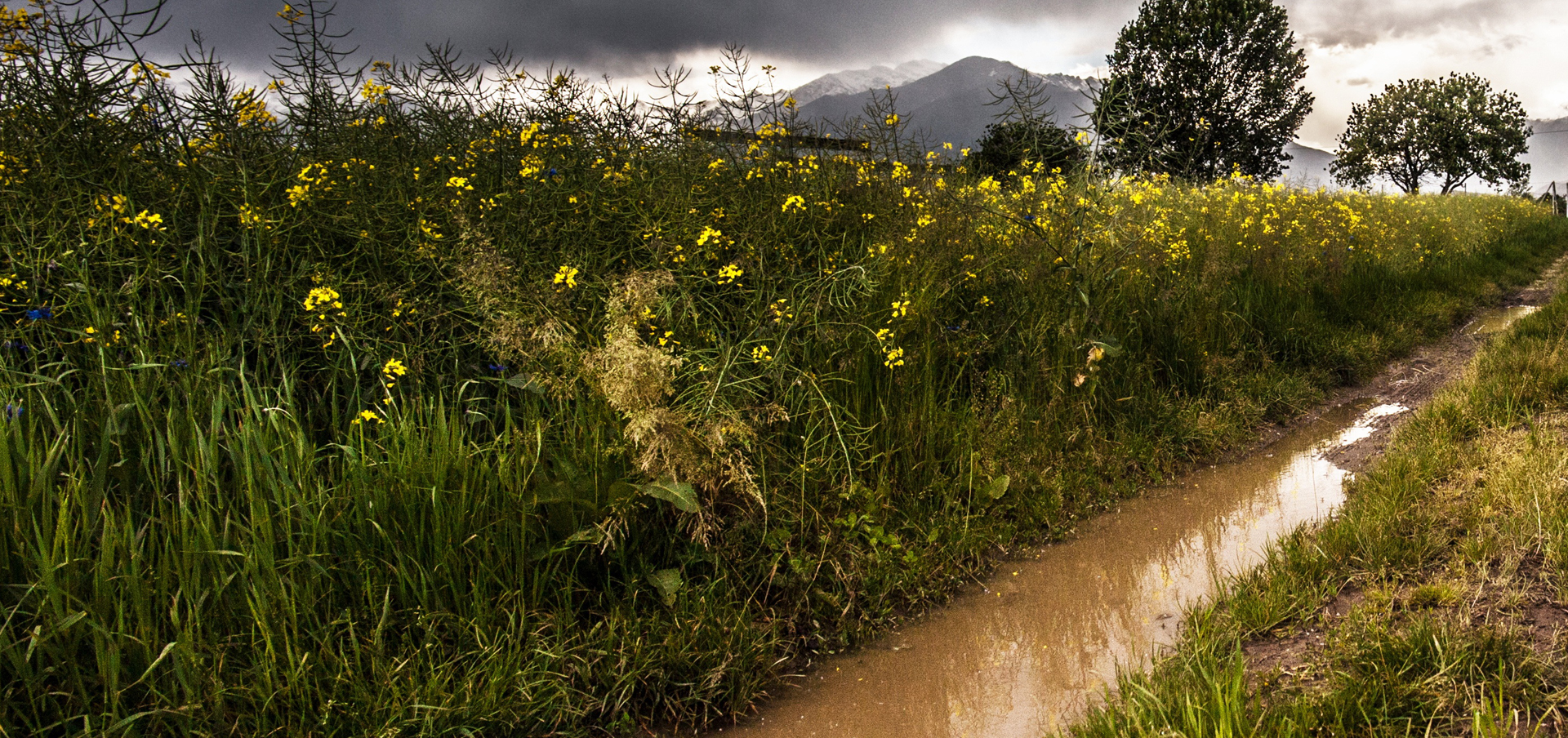 IRT missions for nursing students