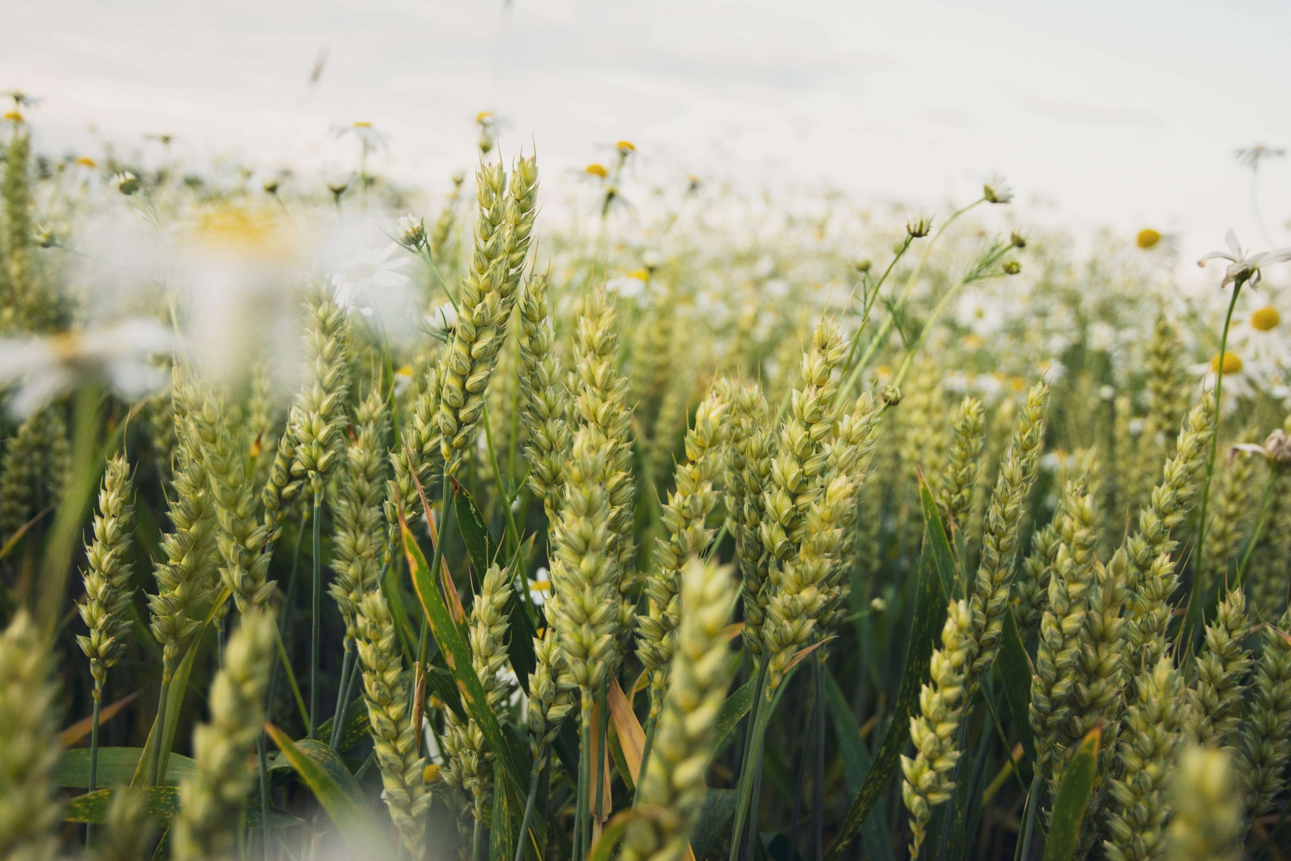 how to balance school and work