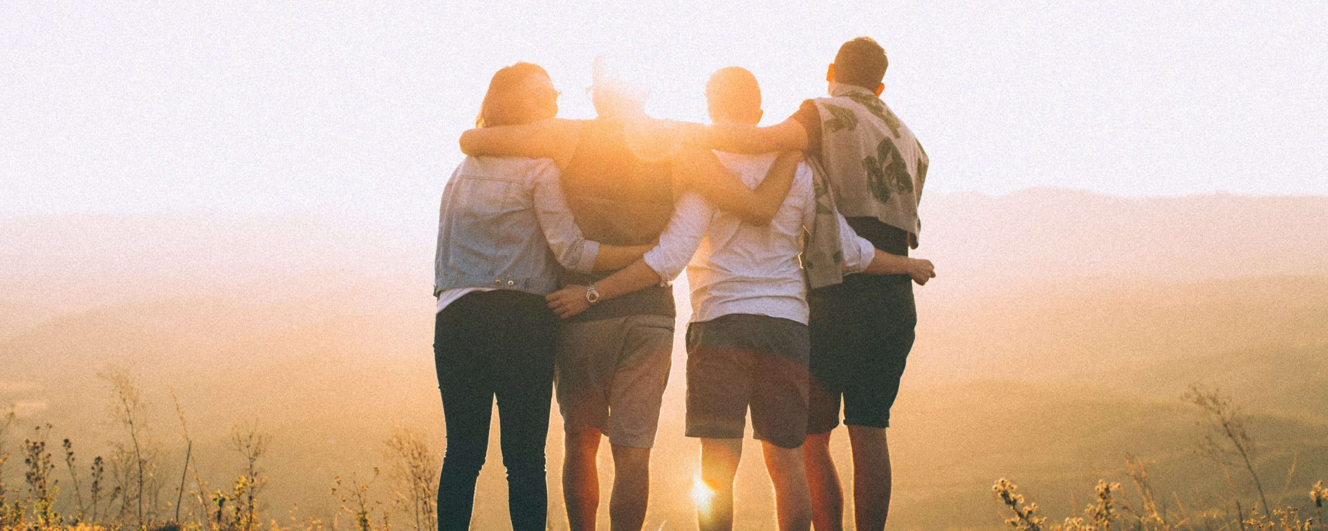 difference between 人类服务 vs 人力资源