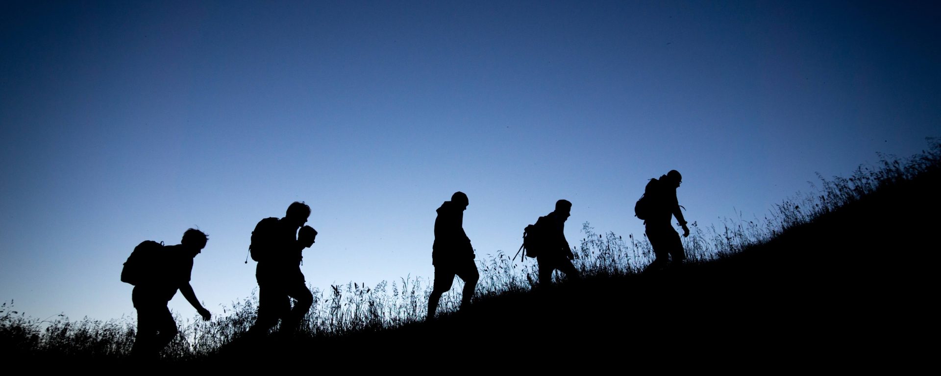 why is 组织文化 important