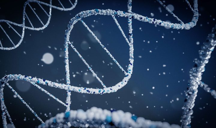 What’s the Difference Between a Health Science Degree and a Health Administration Degree?