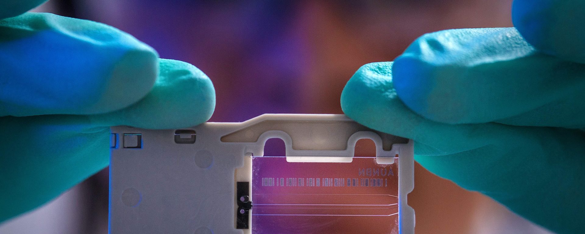 What Can I Do With A 健康科学 Degree?