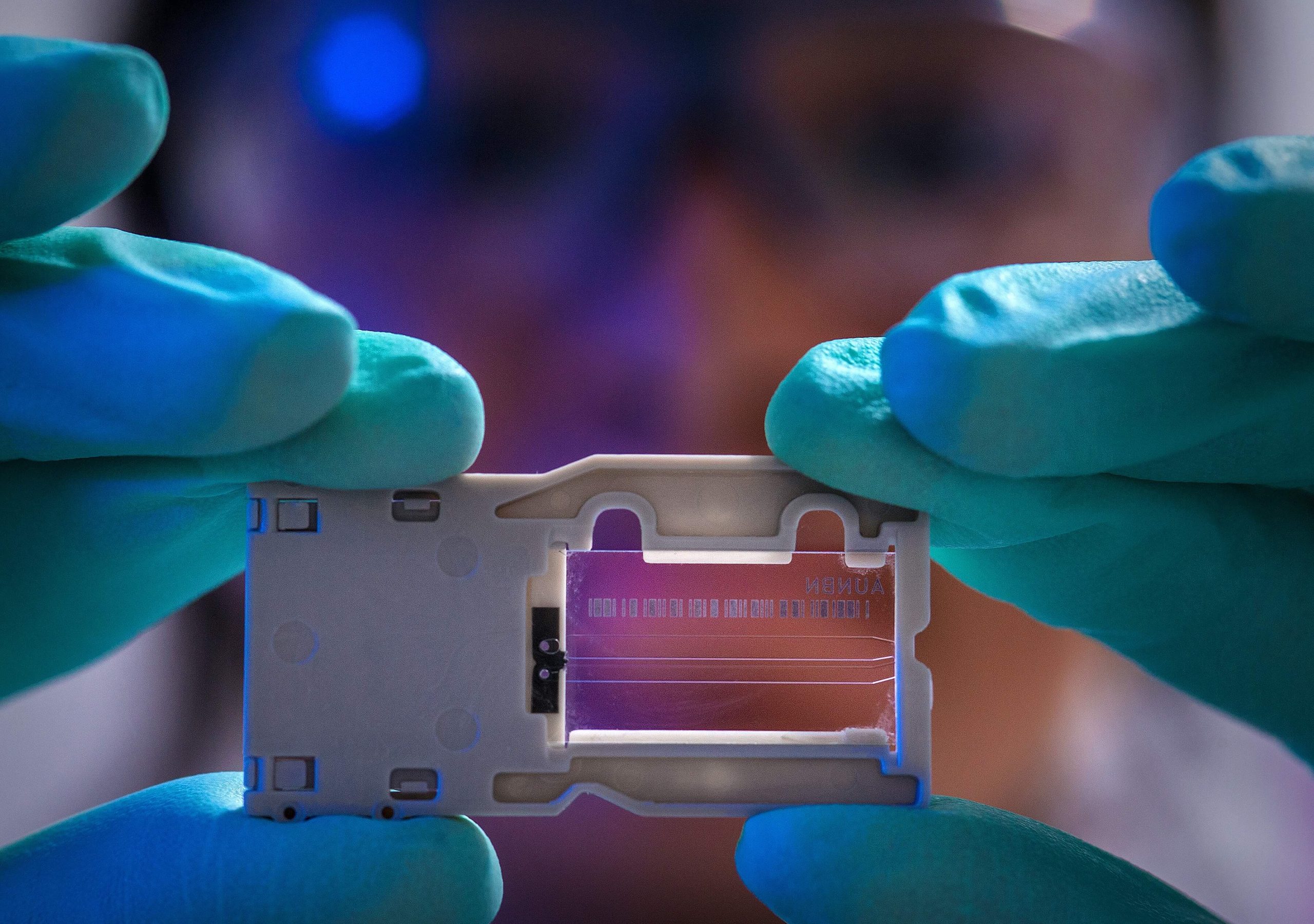 What Can I Do With A Health Science Degree?