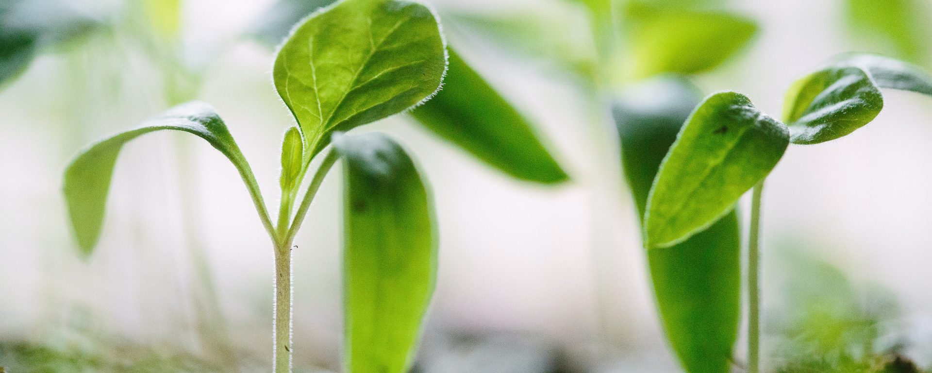 career development in nursing