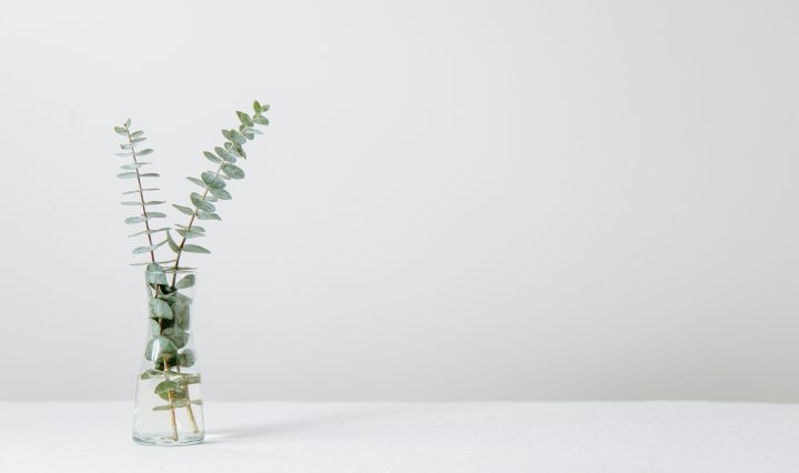 occupational therapy assistant certification requirements