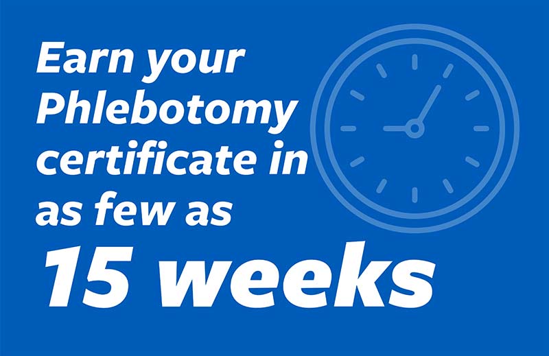 Earn your 放血证书 in as few as 15 weeks