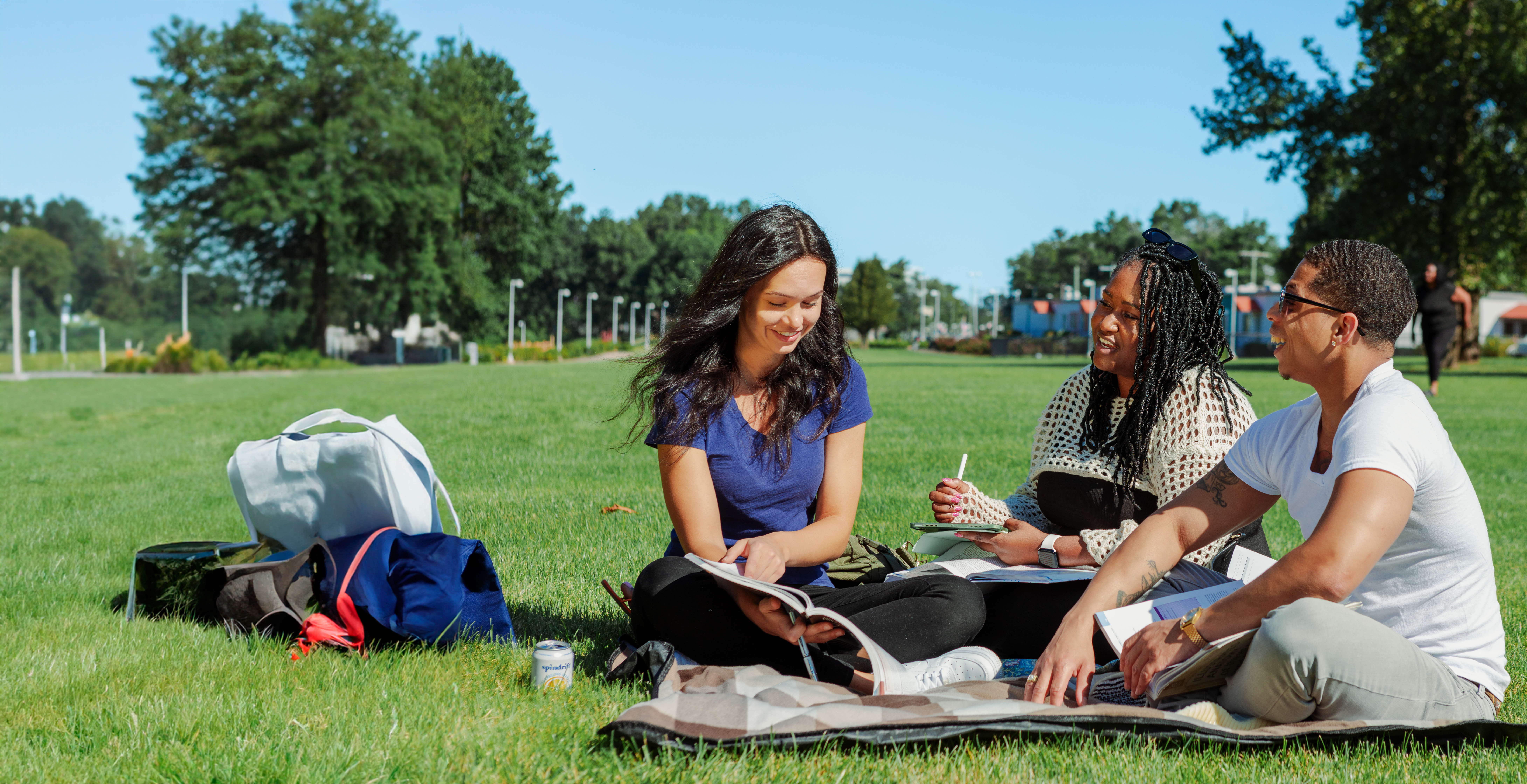 students studying outside